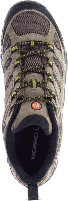 moabe 3 (j036285) Merrell homens 4820N145 nogueira/musgo sapato