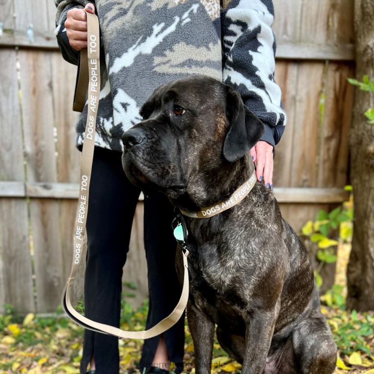 trela para cães (jaf26689-176) Merrell unissex 4820N460 tonalidade sépia acessórios